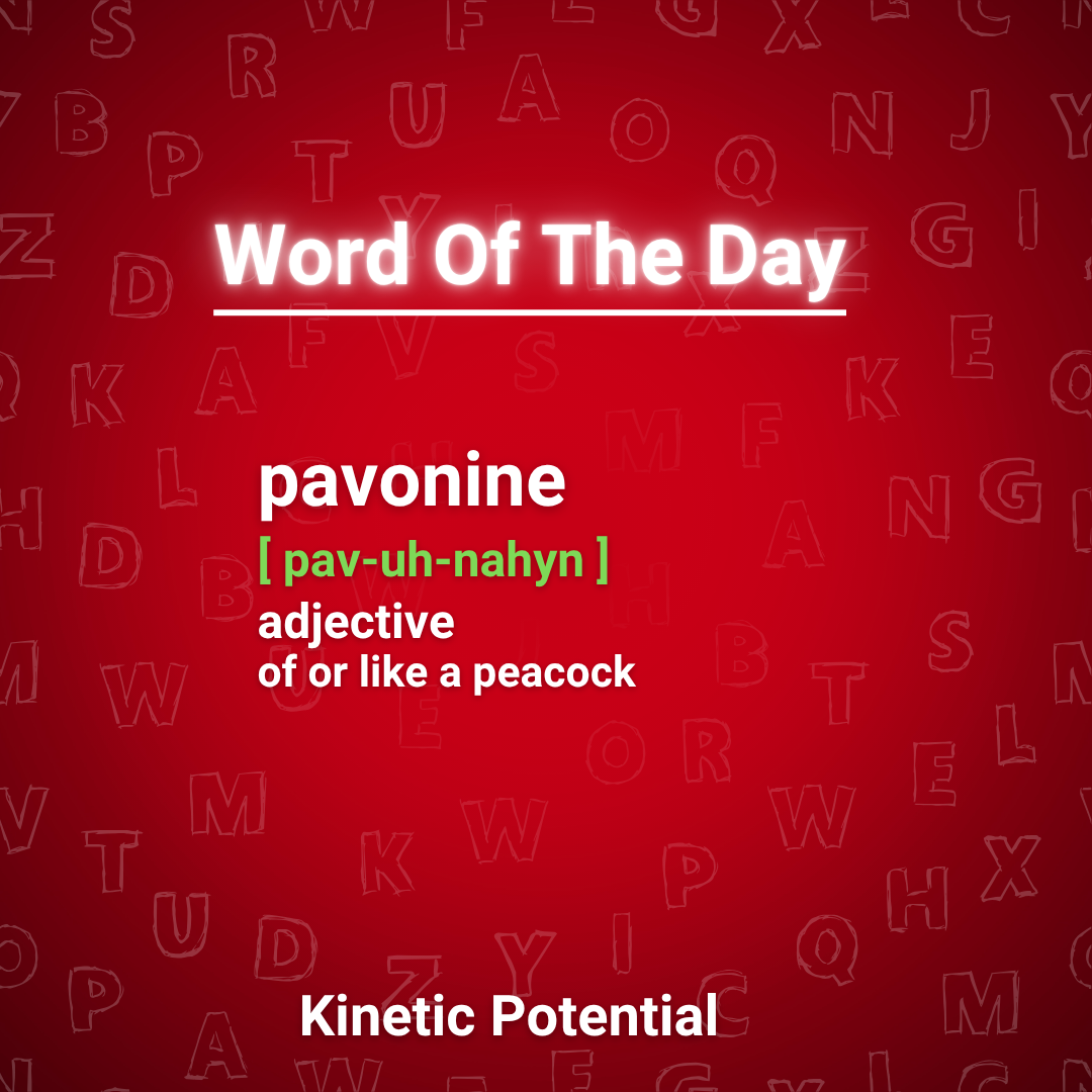 Word Of The Day:  pavonine