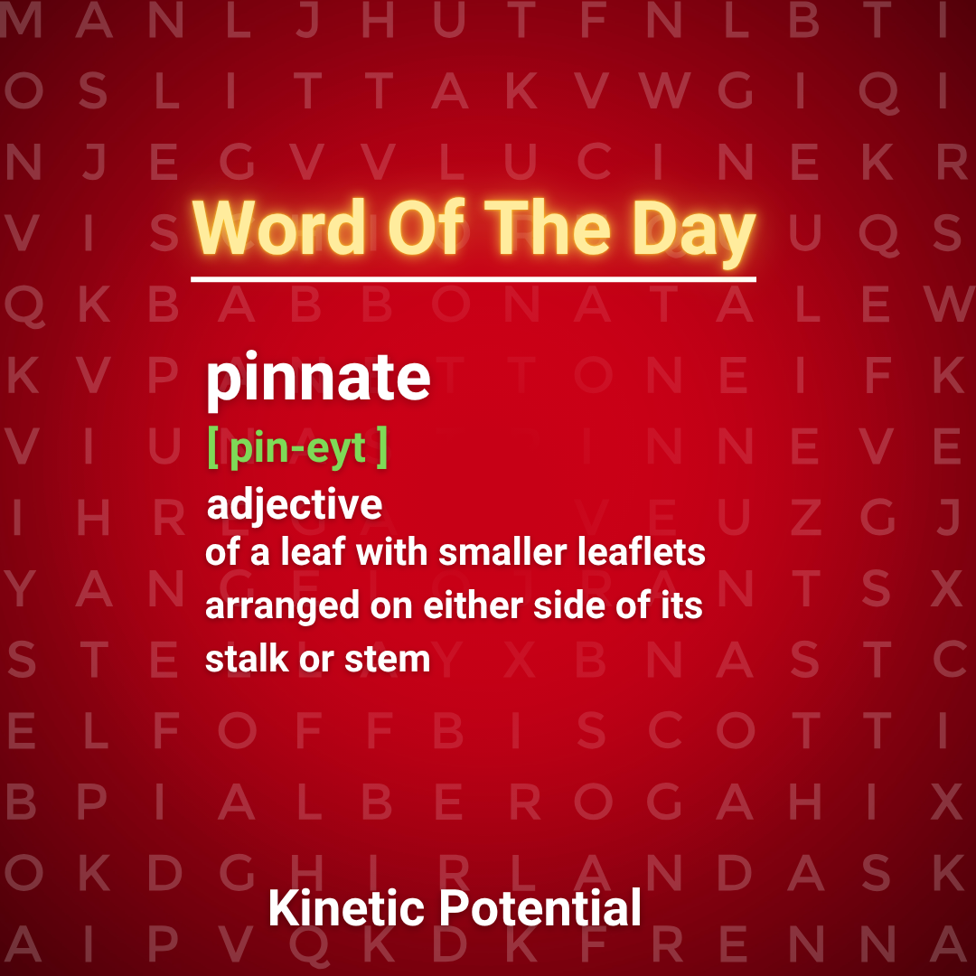 Word Of The Day:  pinnate