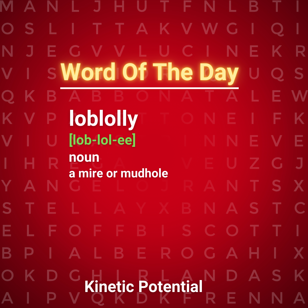 Word Of The Day  loblolly
