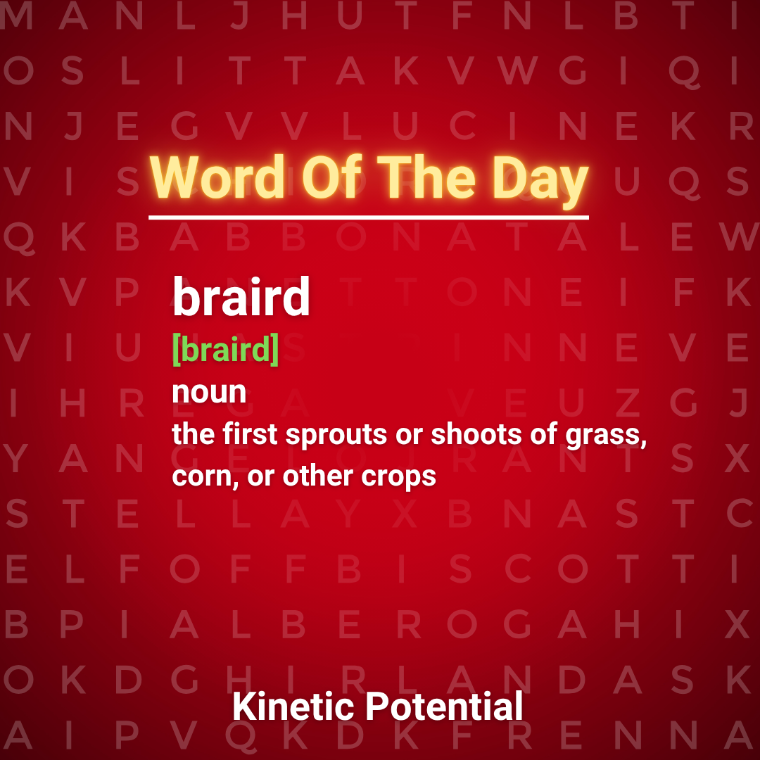 Word Of The Day  braird
