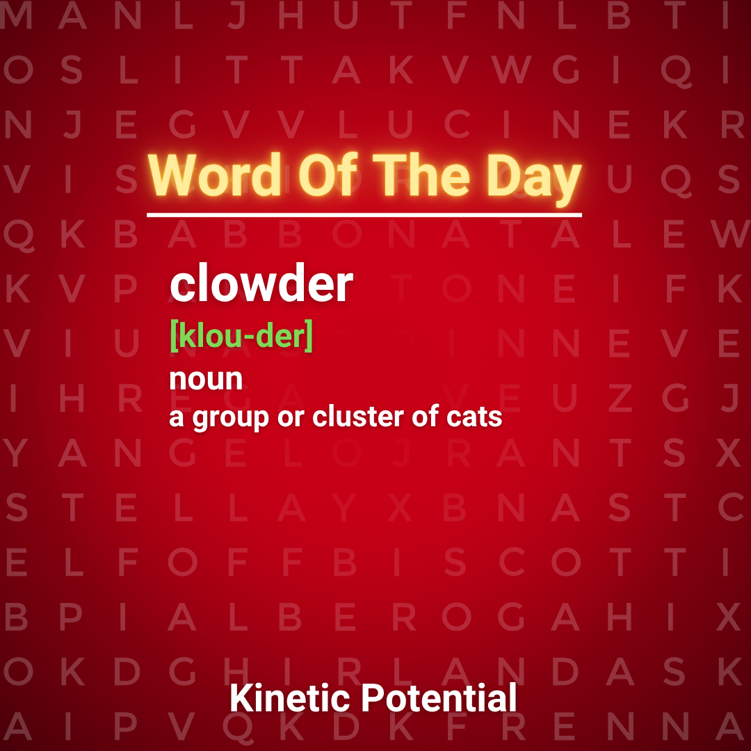 Word Of The Day  clowder