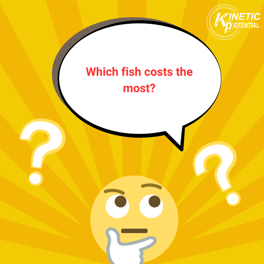 Riddle Of The Week  Can you answer this?