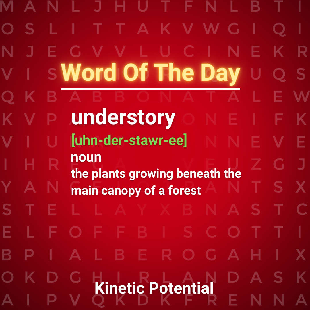 Word Of The Day  understory